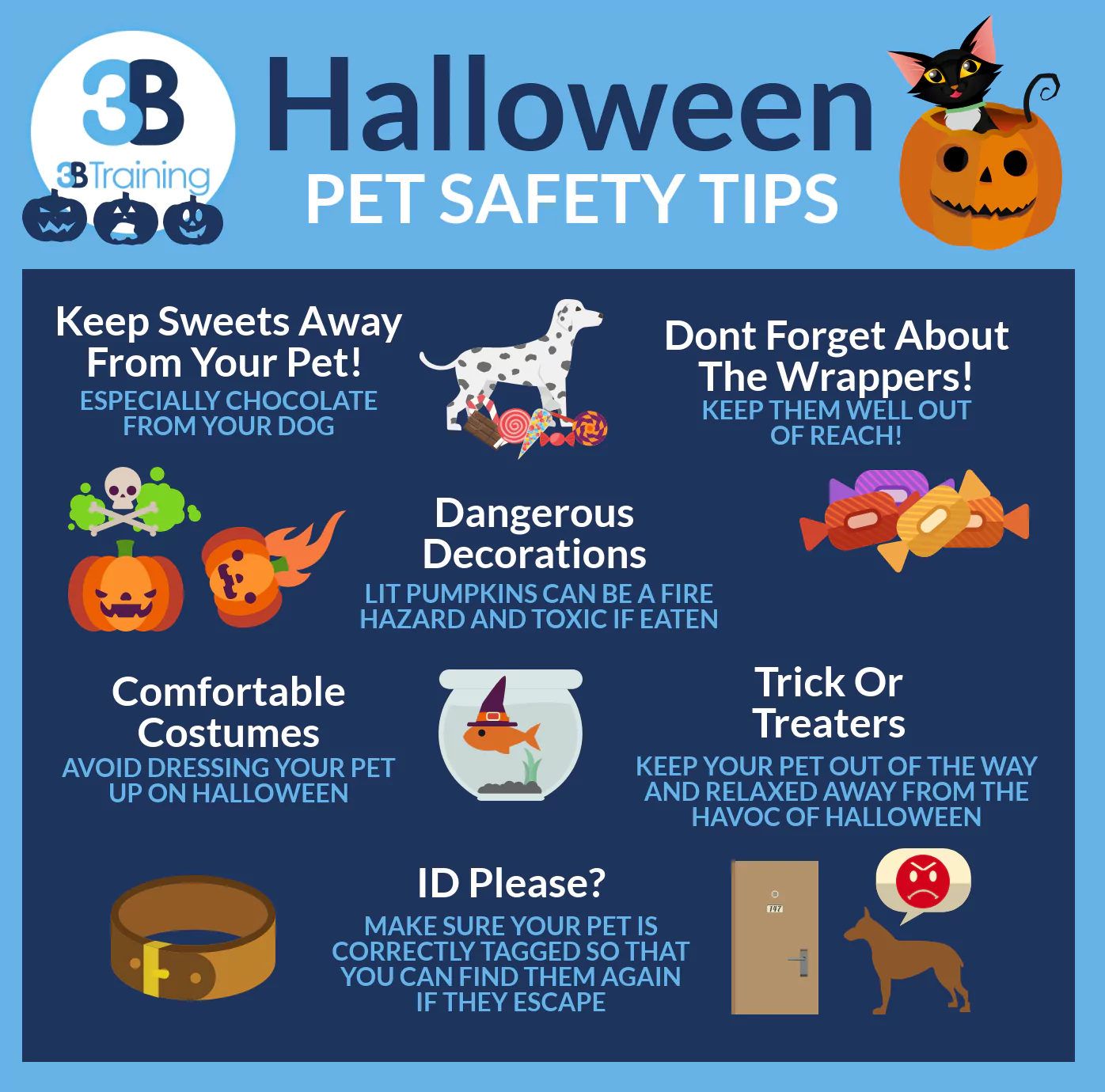 Pet Safety