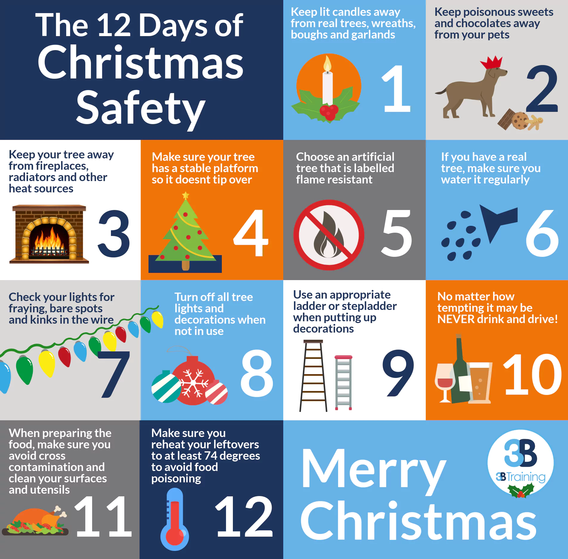 12 Days of Christmas Safety